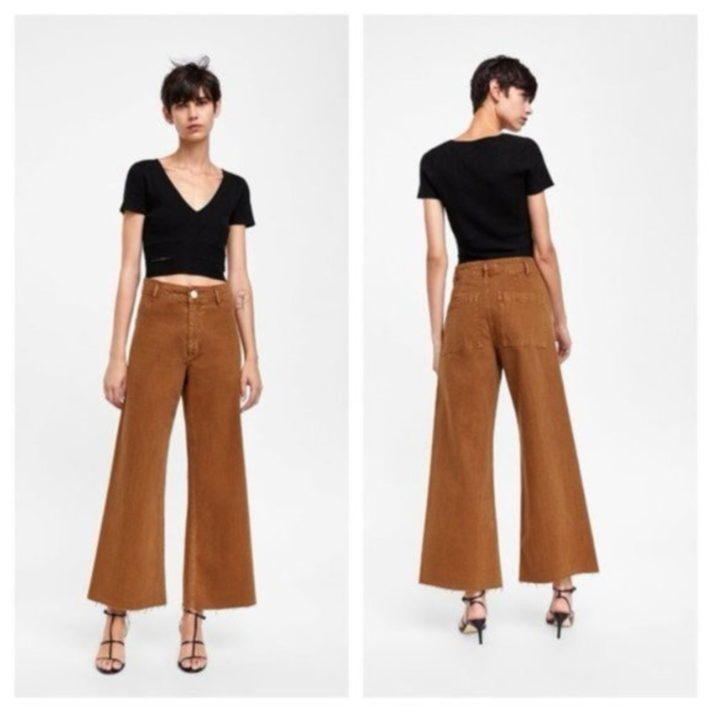 Zara Wide-Leg High-Waist Pants in Brown